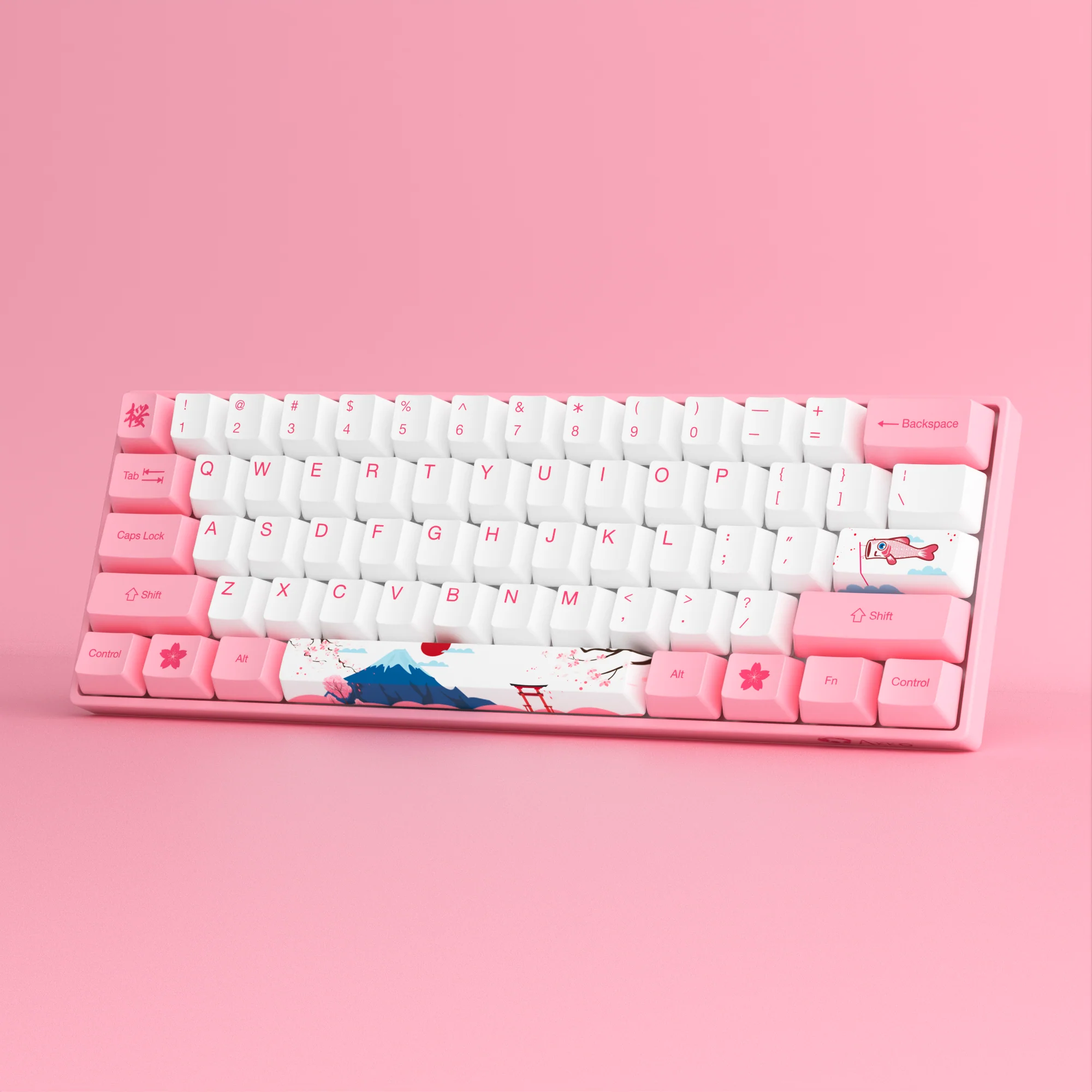 3061S HE World Tour Tokyo - Image 6