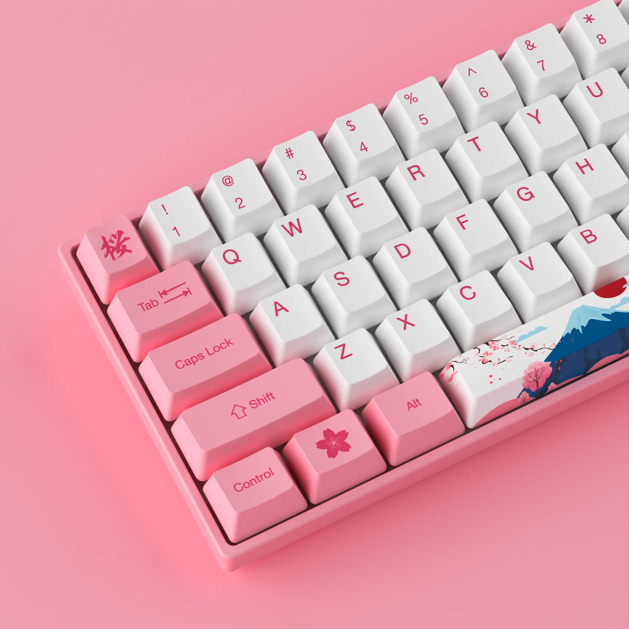 3061S HE World Tour Tokyo - Image 7