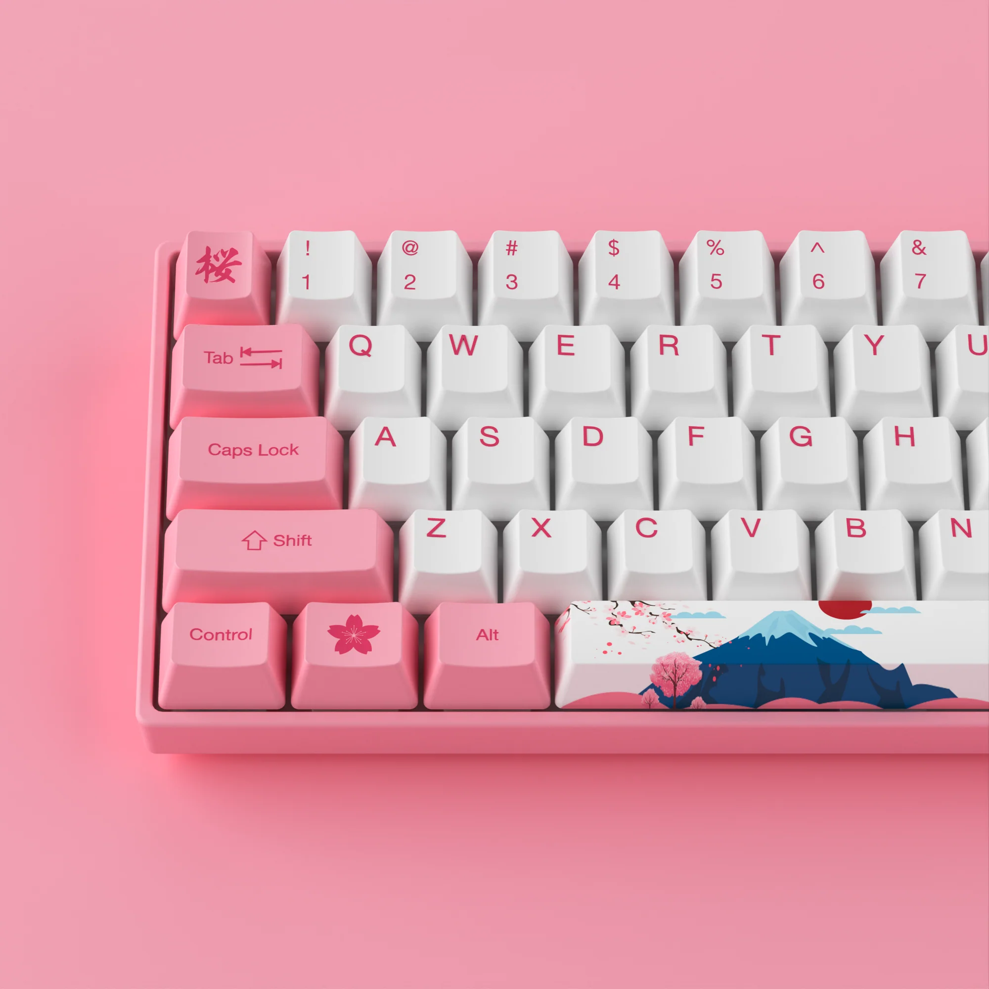 3061S HE World Tour Tokyo - Image 8