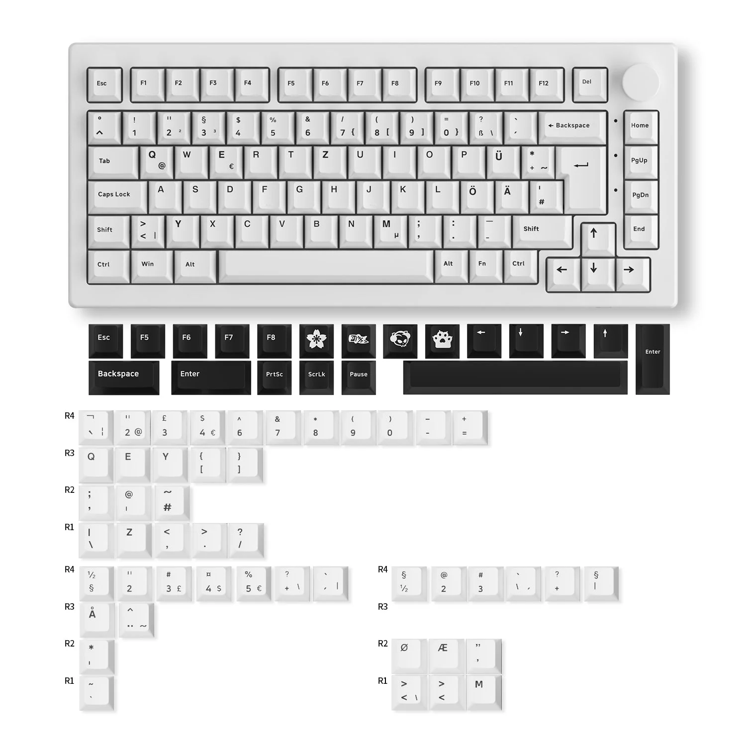 5075B Plus VIA ISO Mechanical Keyboard - Image 6