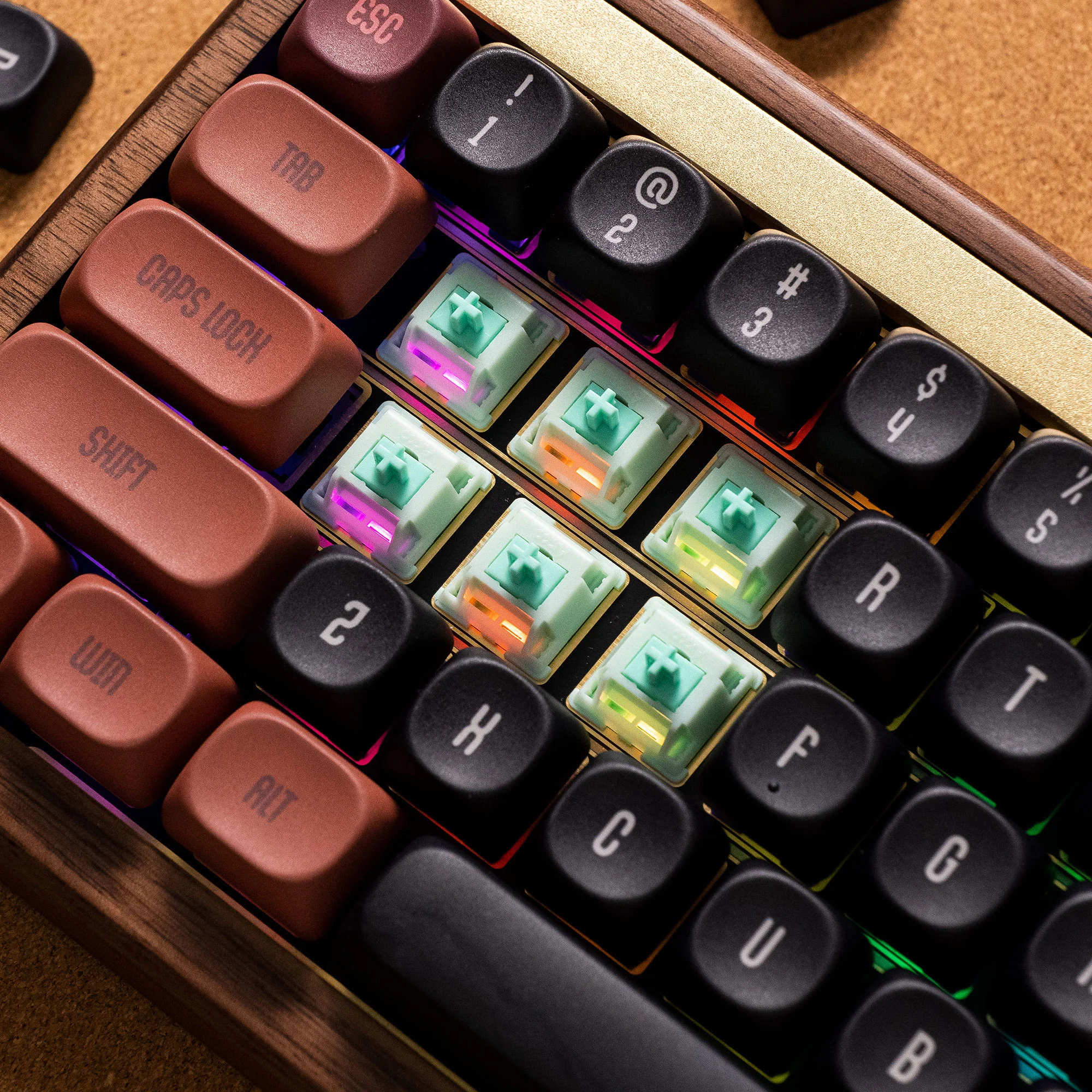 Akko Botany Switch (Linear, 45pcs) - Image 5