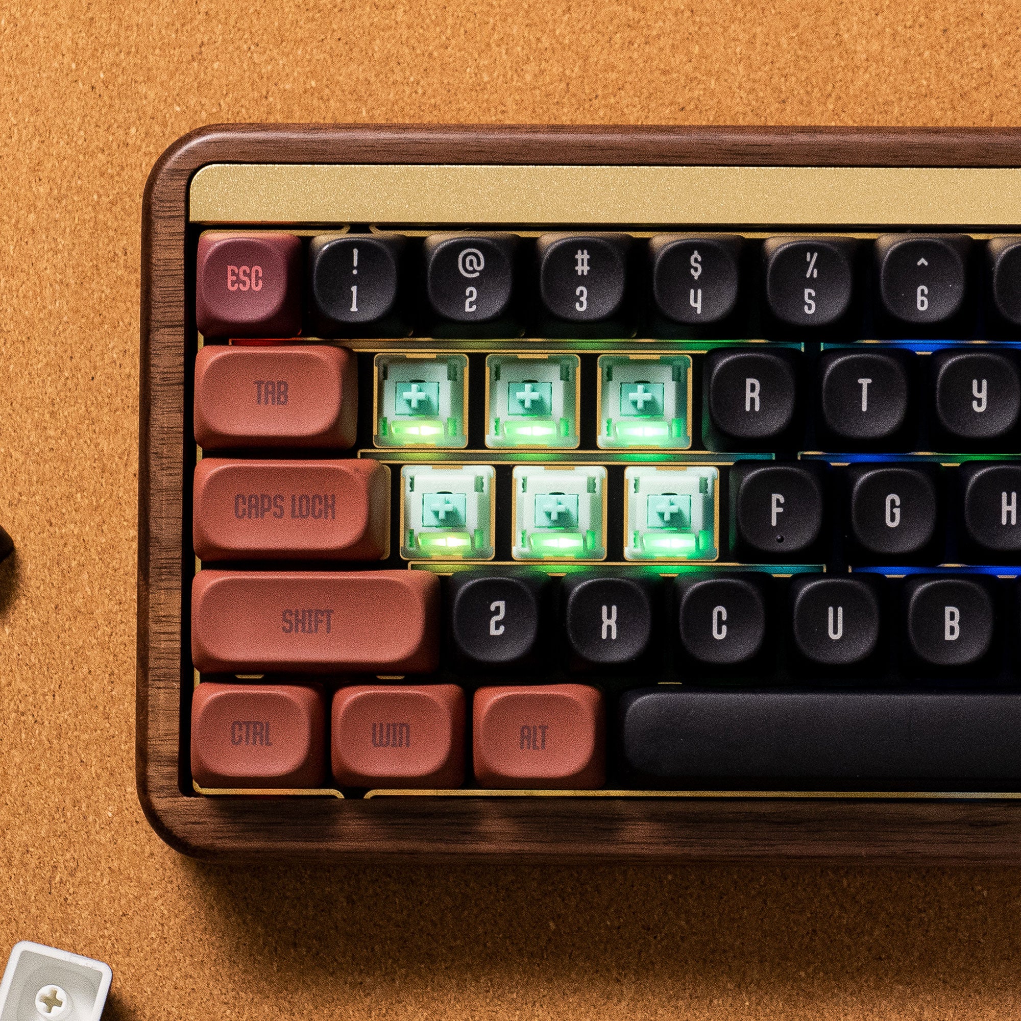 Akko Botany Switch (Linear, 45pcs) - Image 6