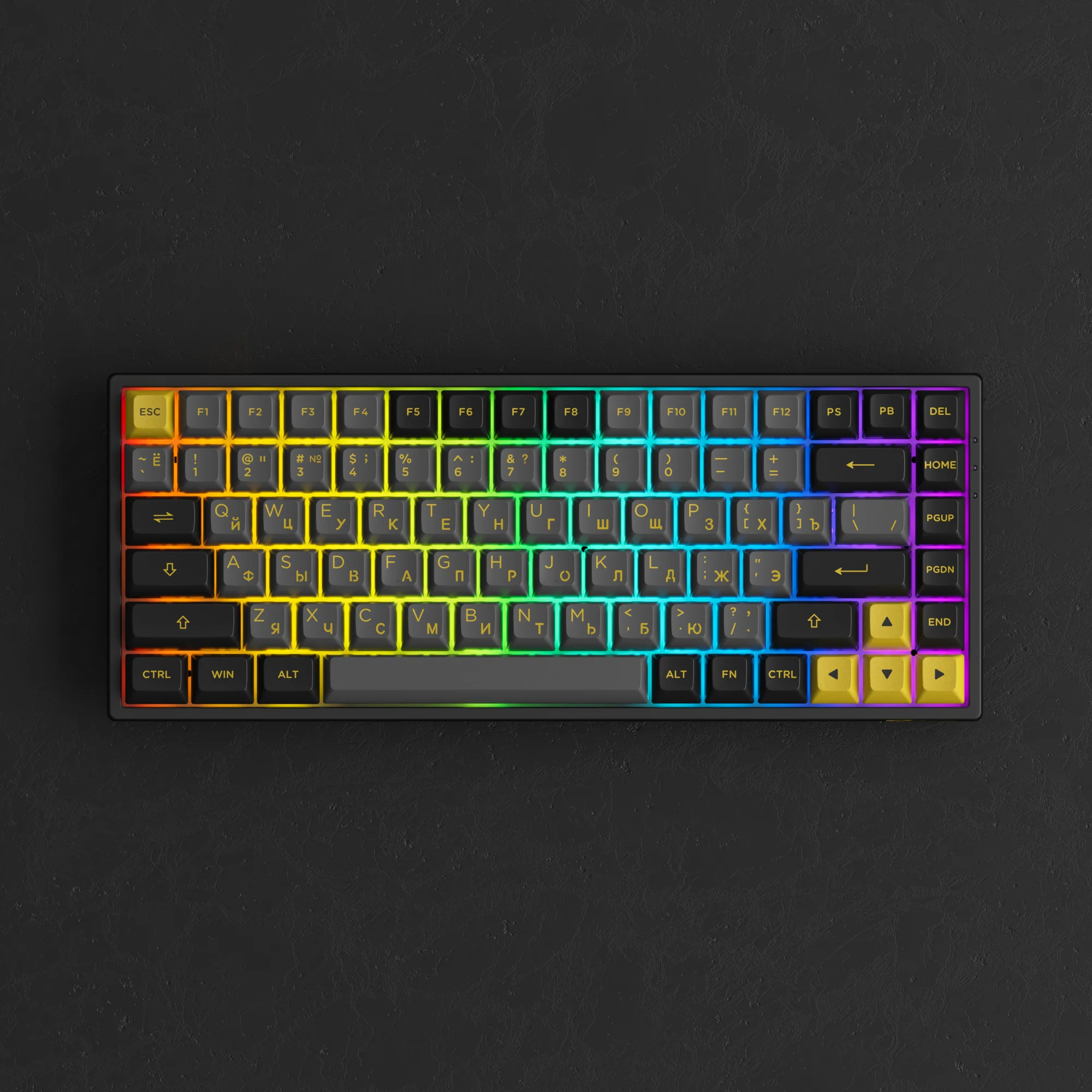 Black & Gold 3084B Plus - Image 6