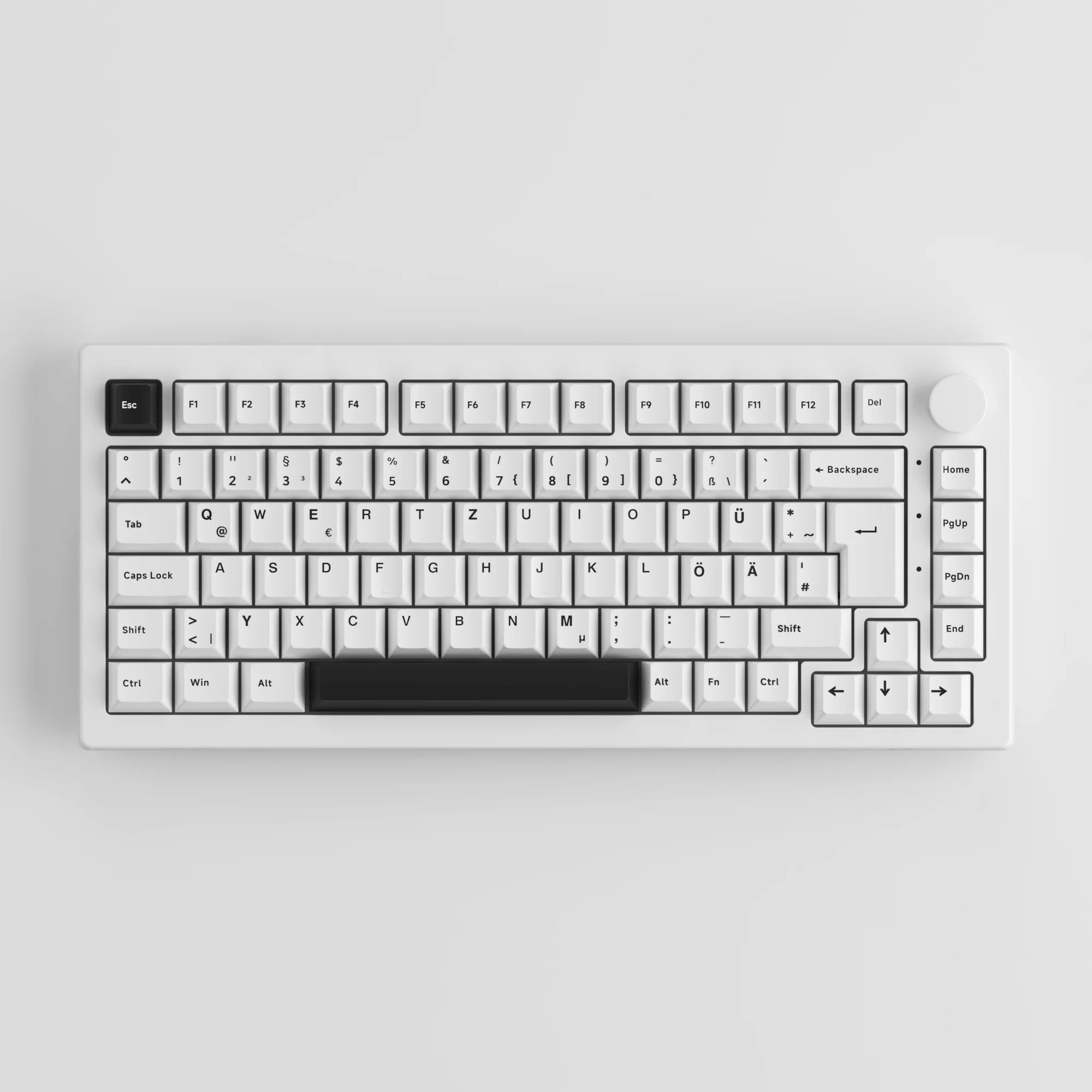 Black on White 5075B Plus ISO - Image 5