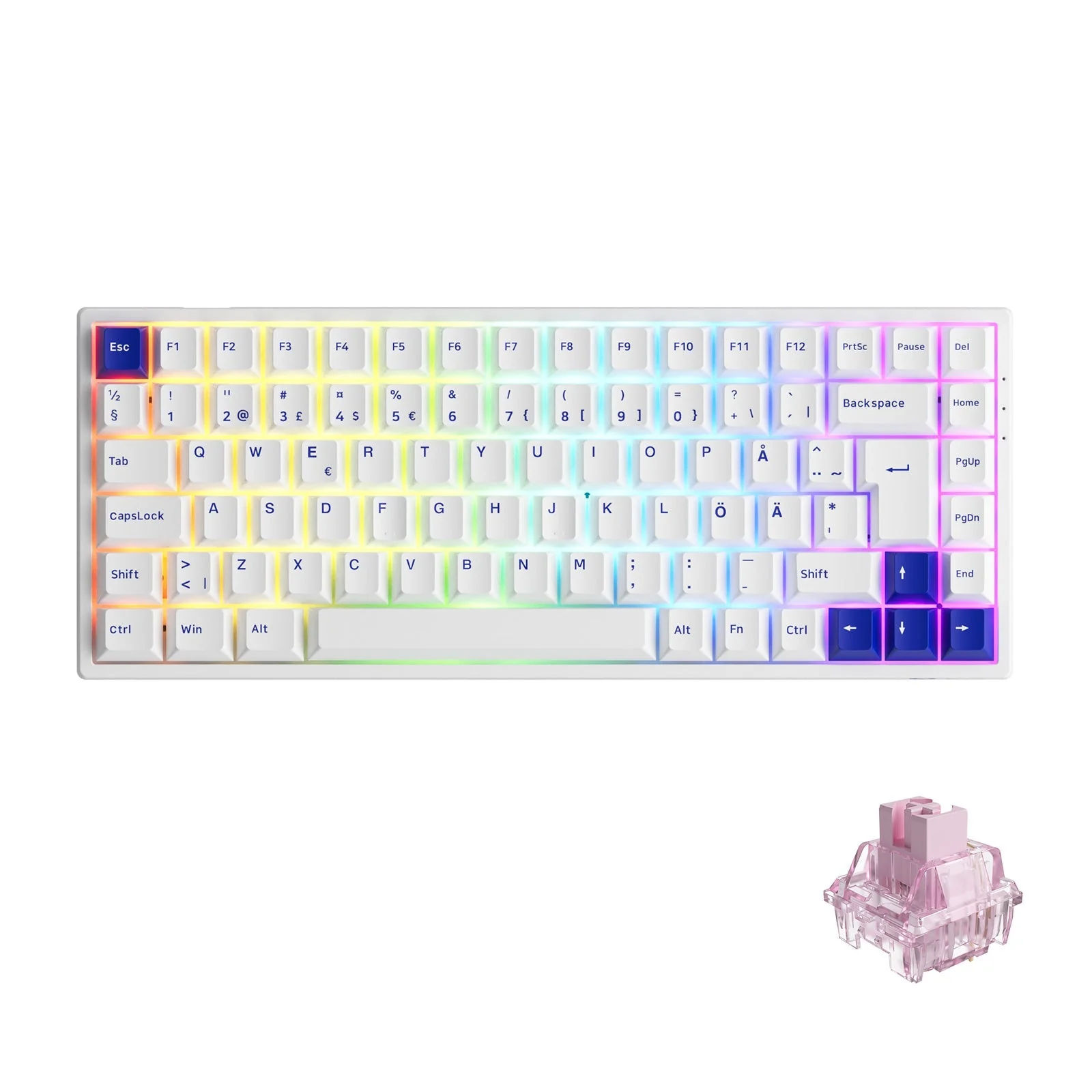 Blue on White 3084B Plus ISO DE/Nordic - Image 5