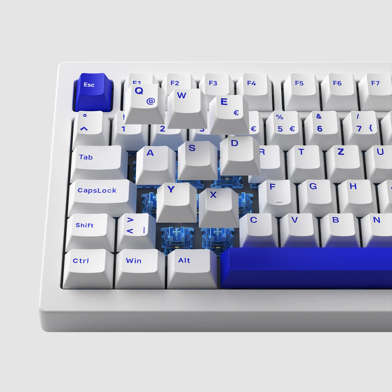 Blue on White 5075B Plus ISO - Image 8