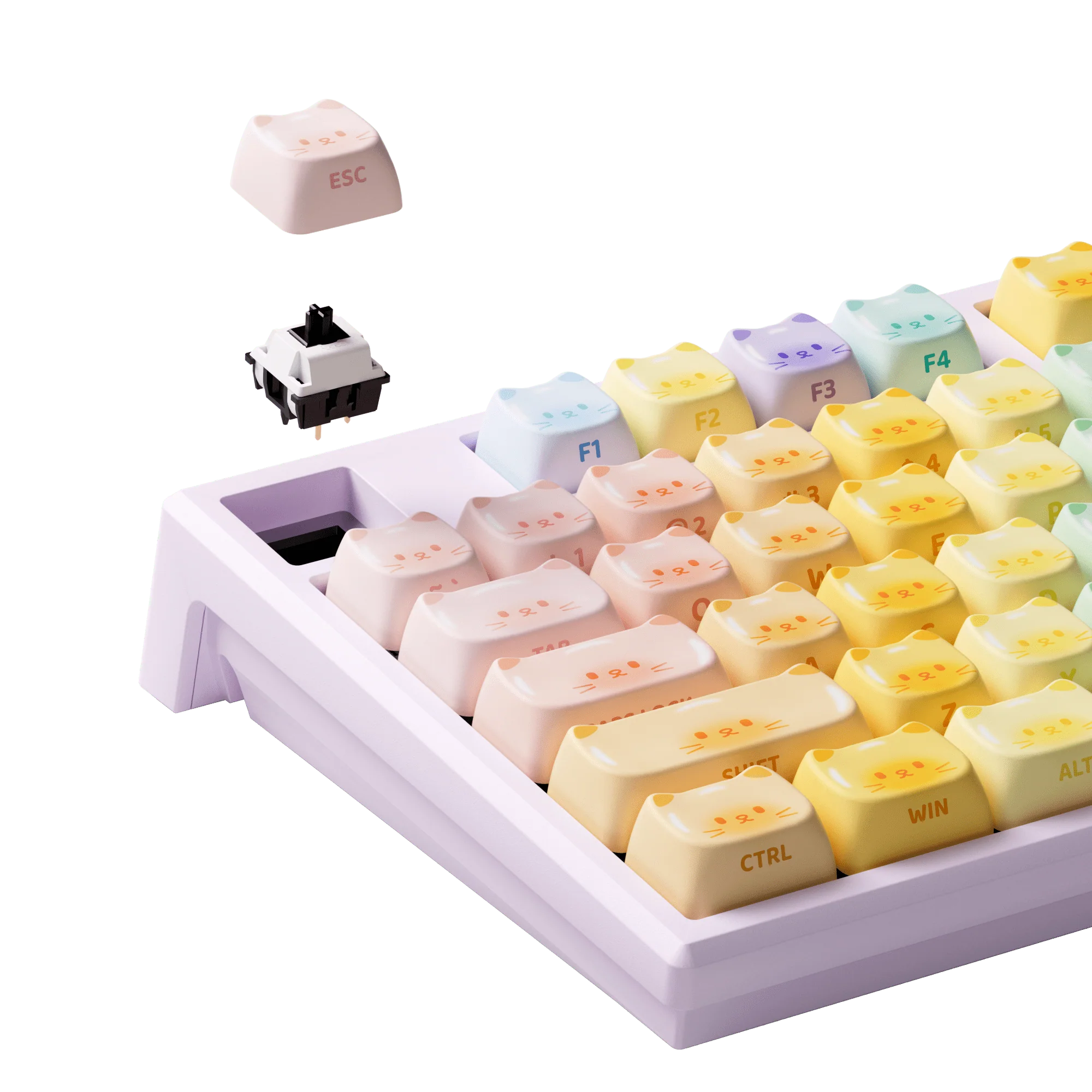 MG108B Colorful Cats - Image 6