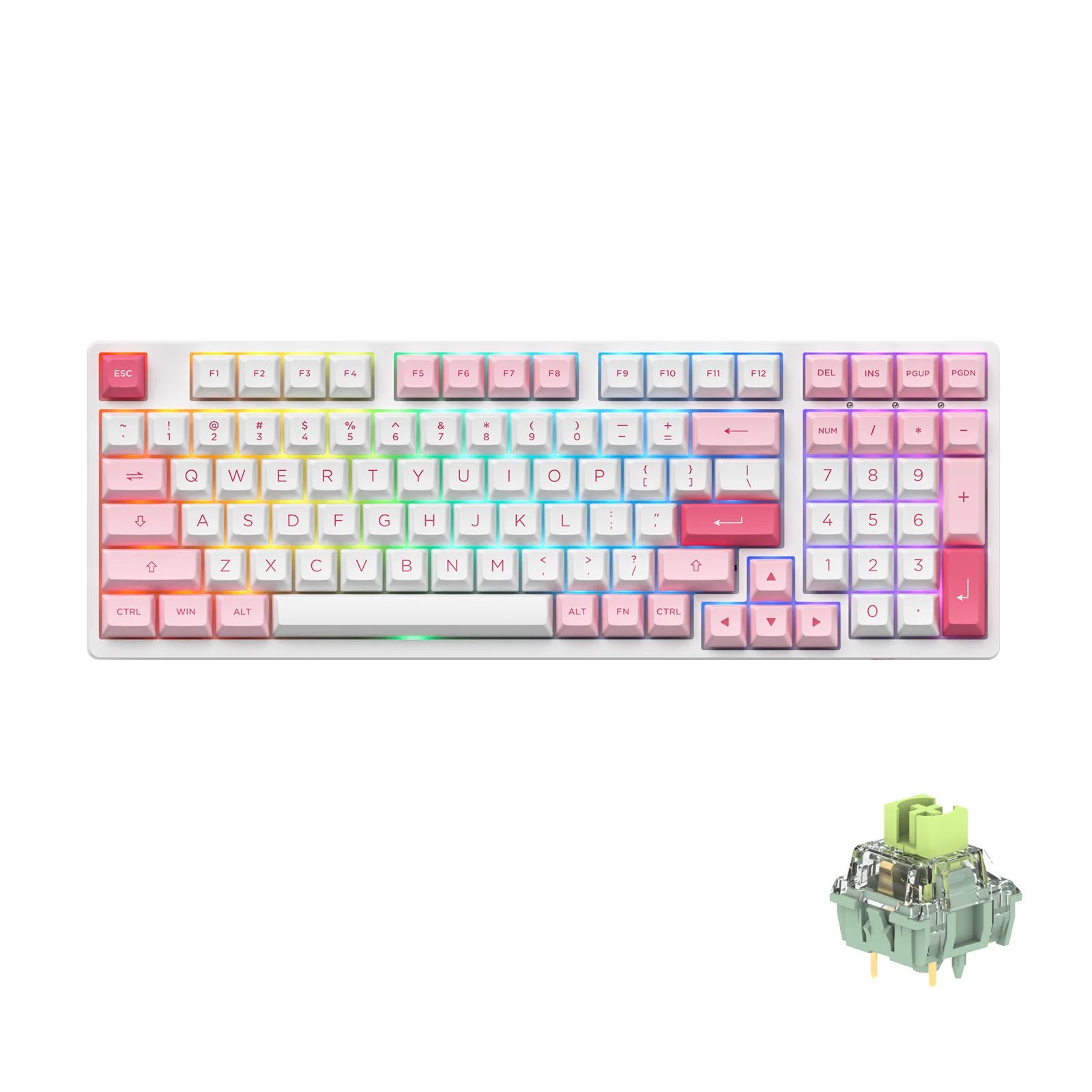 Prunus Lannesiana 3098B - Image 10