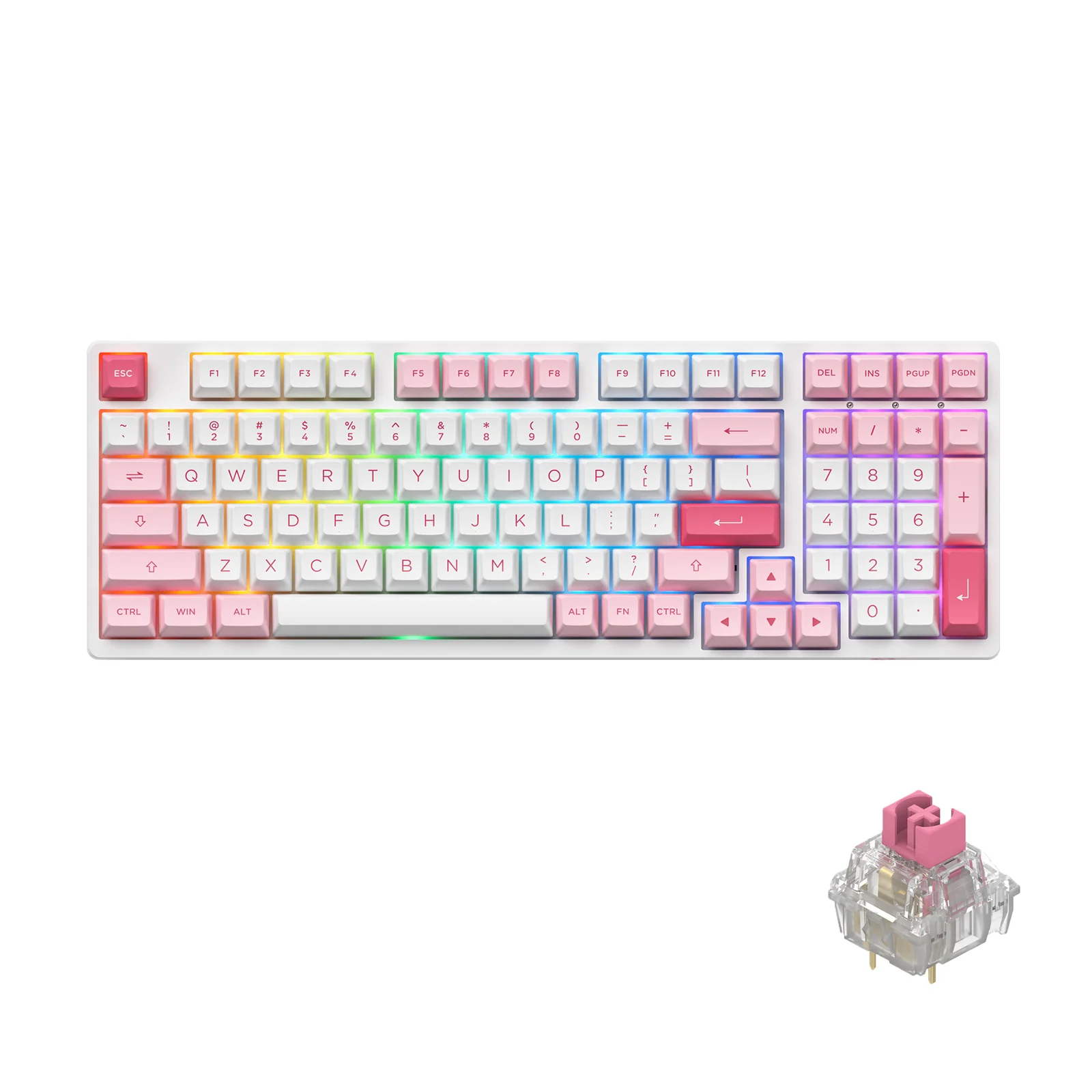 Prunus Lannesiana 3098B - Image 11