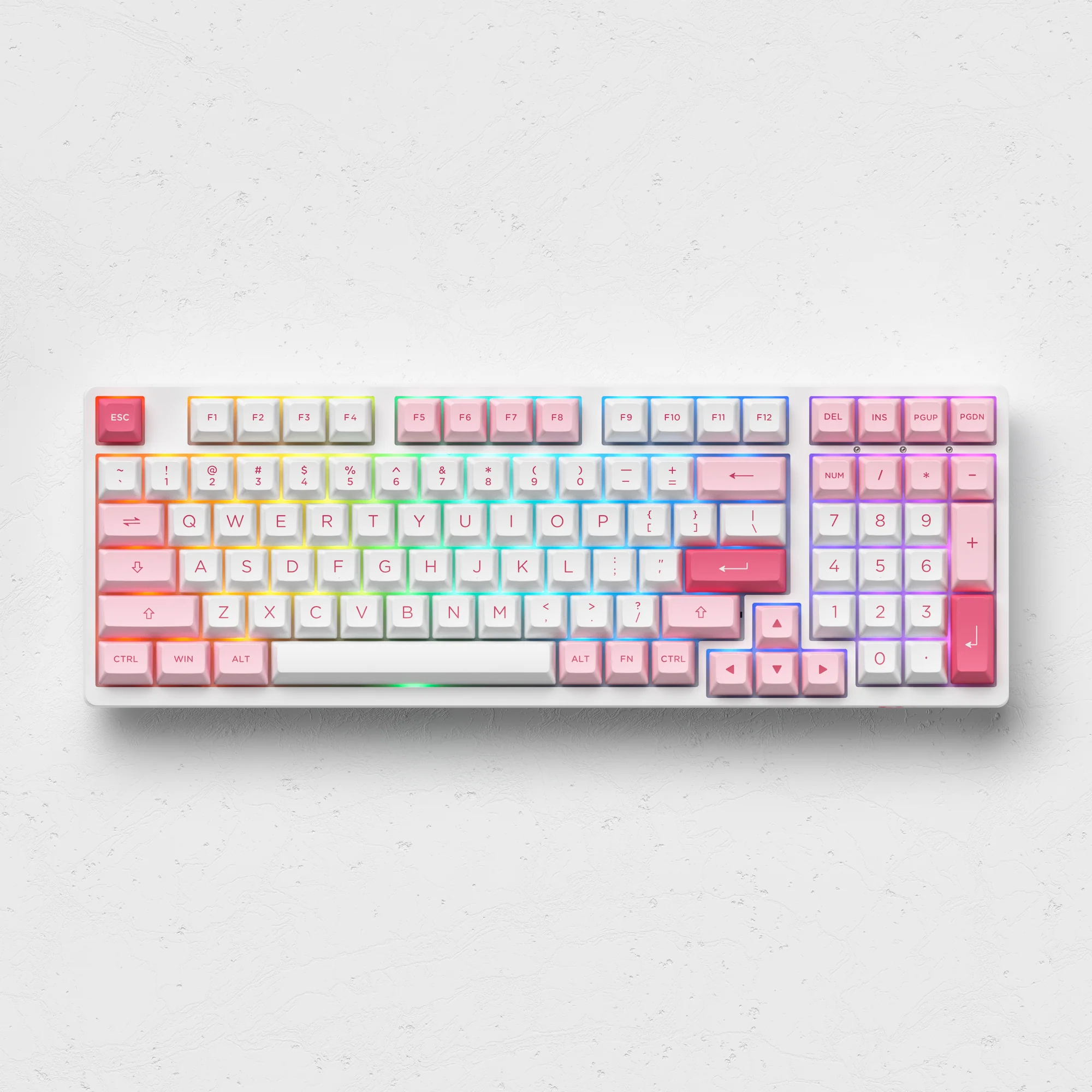 Prunus Lannesiana 3098B - Image 3