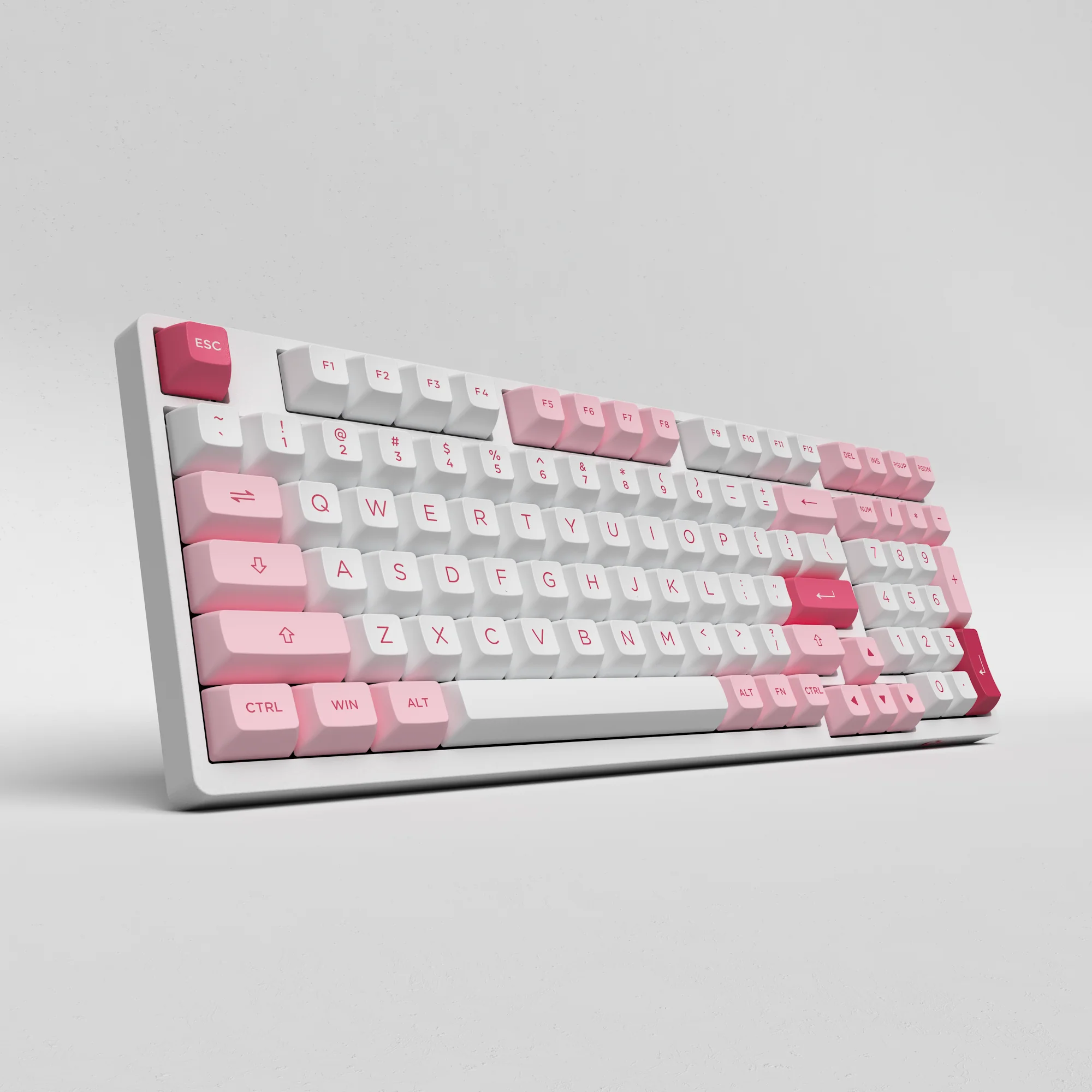 Prunus Lannesiana 3098B - Image 6