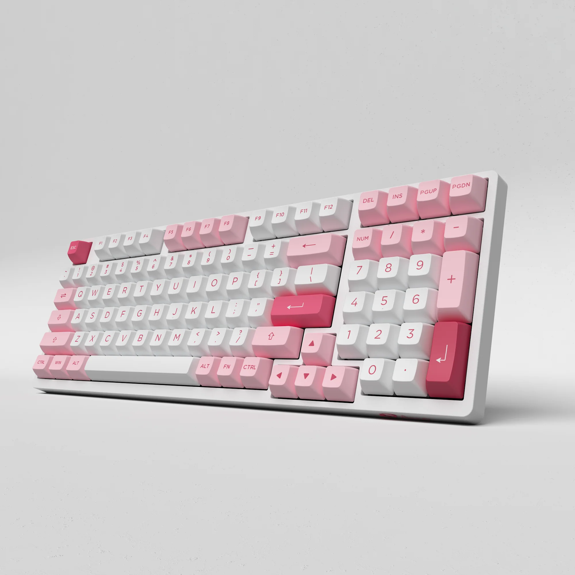 Prunus Lannesiana 3098B - Image 7