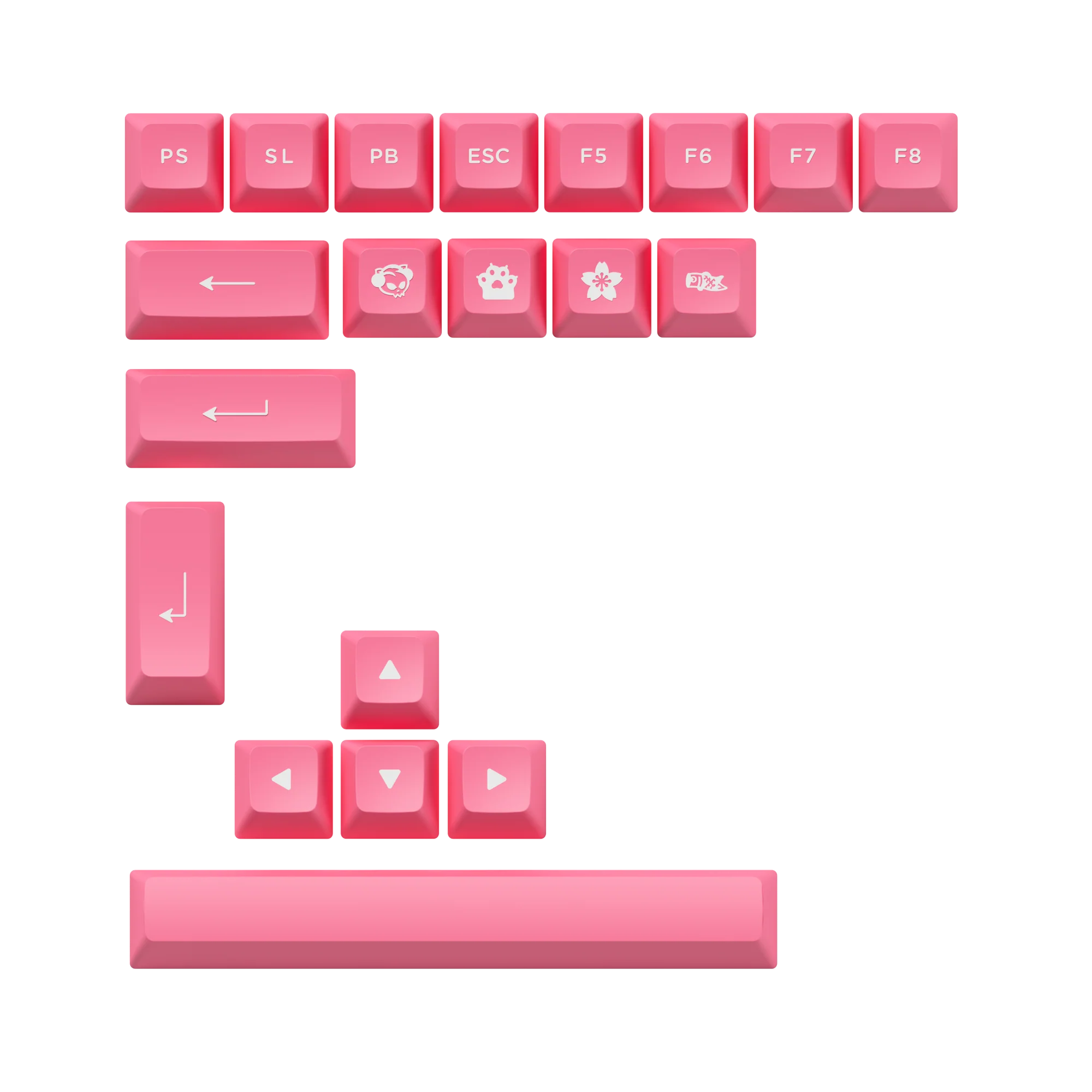 Prunus Lannesiana 3098B - Image 8