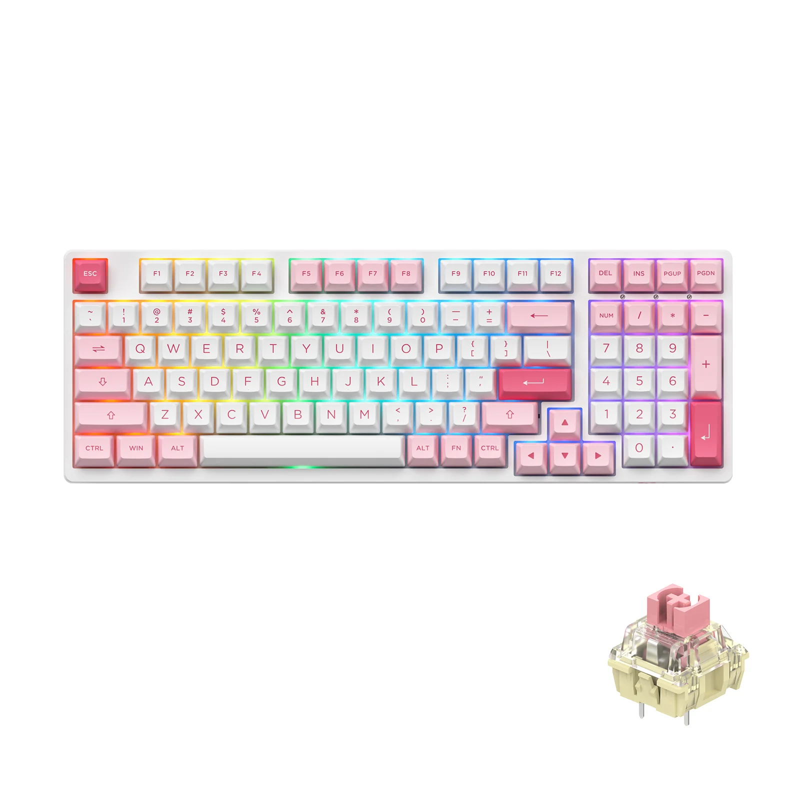 Prunus Lannesiana 3098B - Image 9