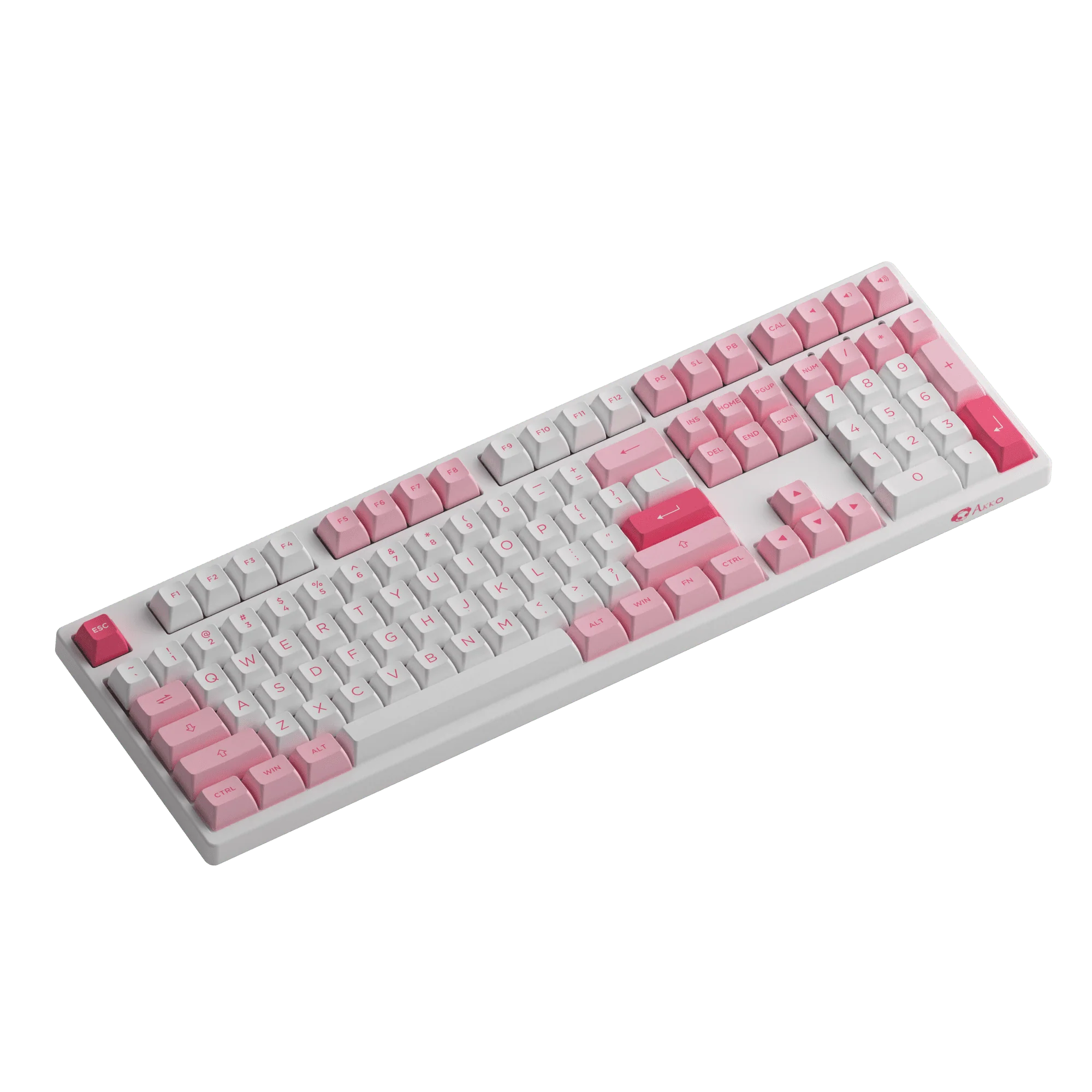 Prunus Lannesiana 3108RF - Image 3