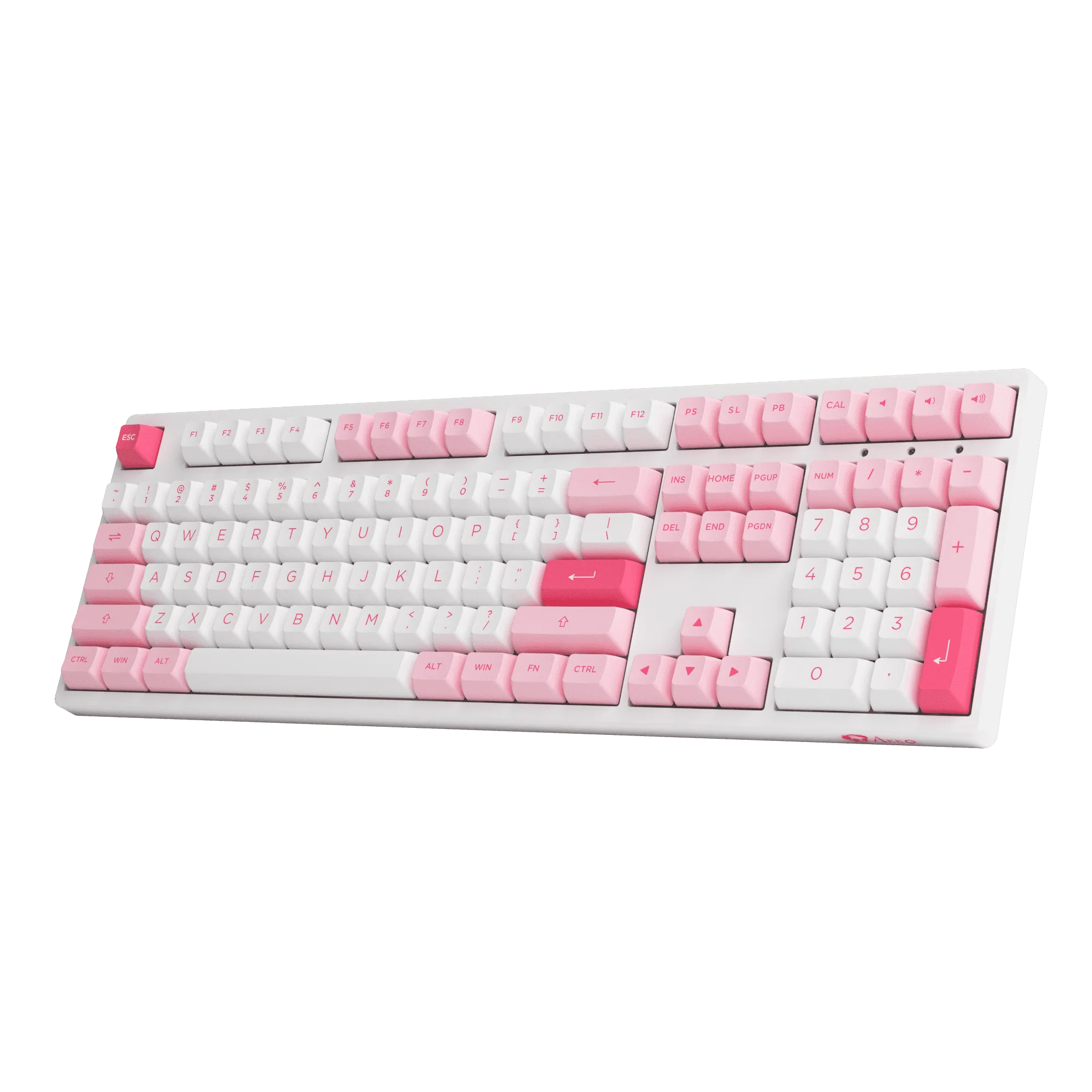 Prunus Lannesiana 3108RF - Image 5