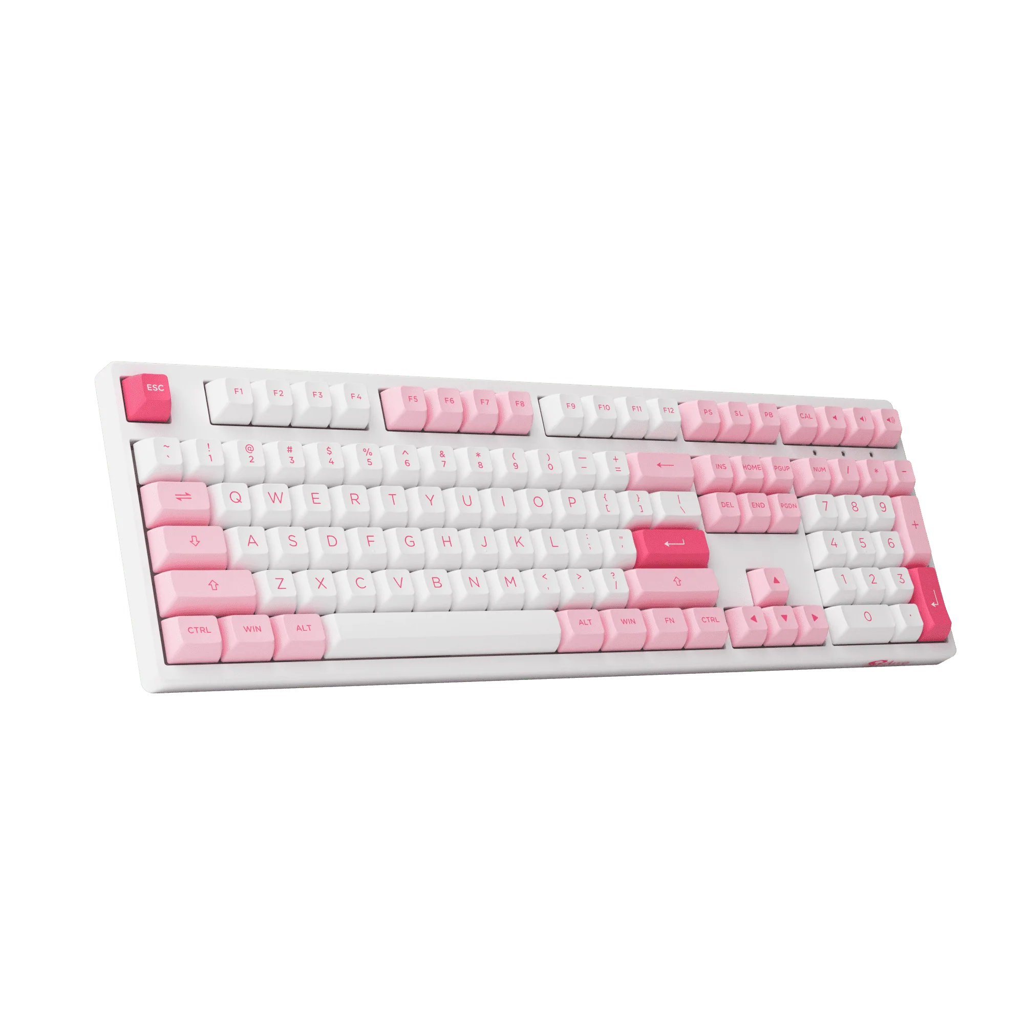 Prunus Lannesiana 3108RF - Image 6