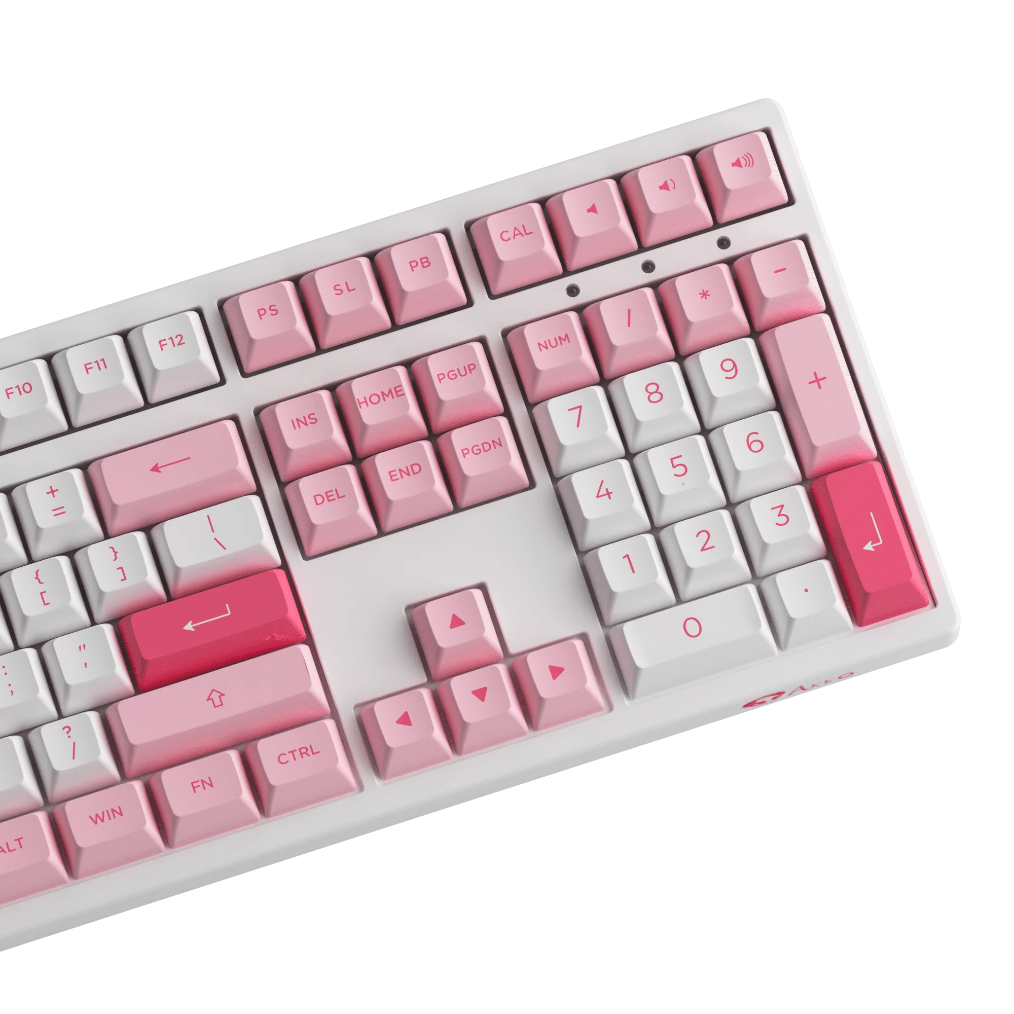 Prunus Lannesiana 3108RF - Image 7