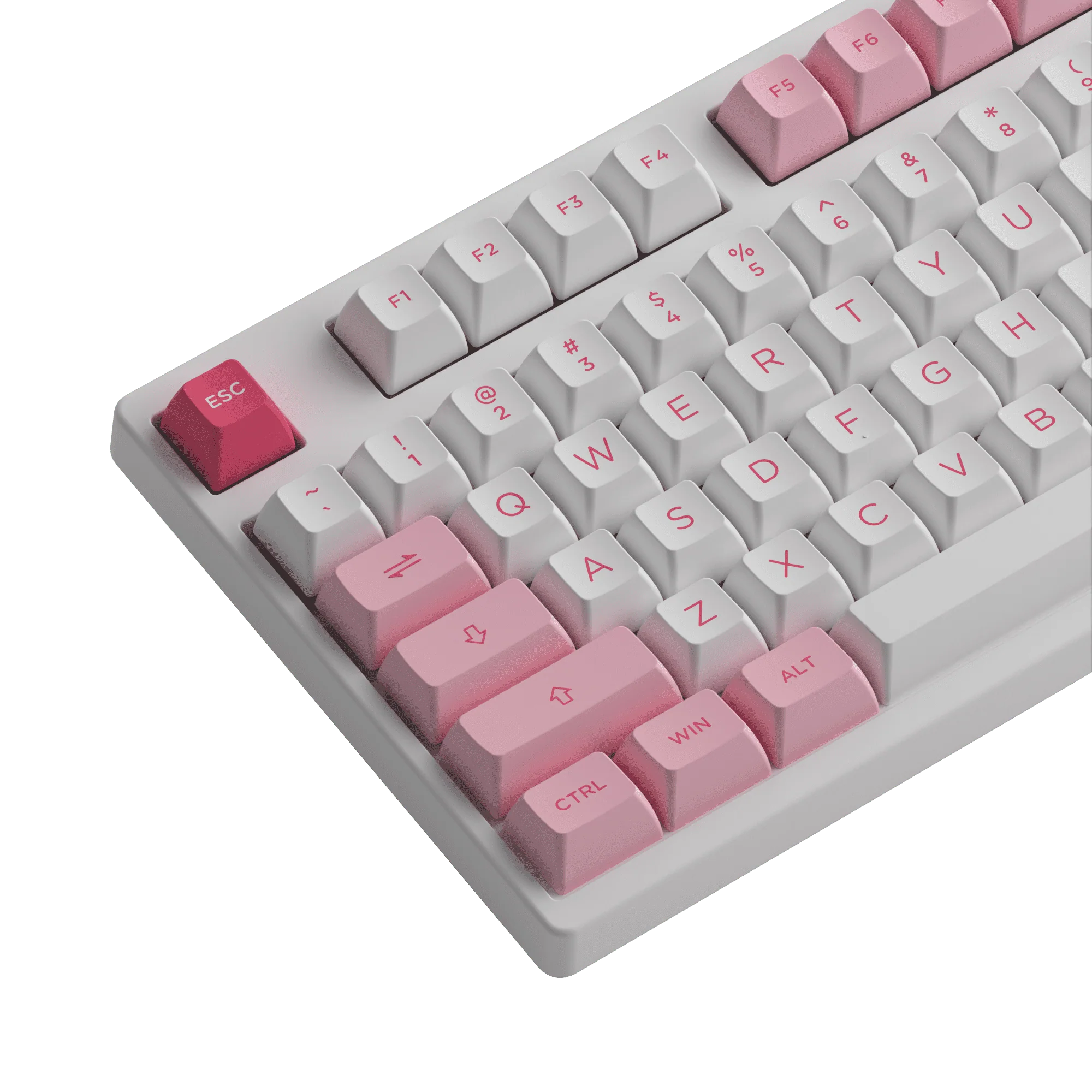 Prunus Lannesiana 3108RF - Image 8