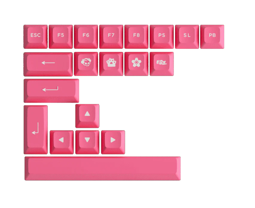 Prunus Lannesiana 3108RF - Image 9