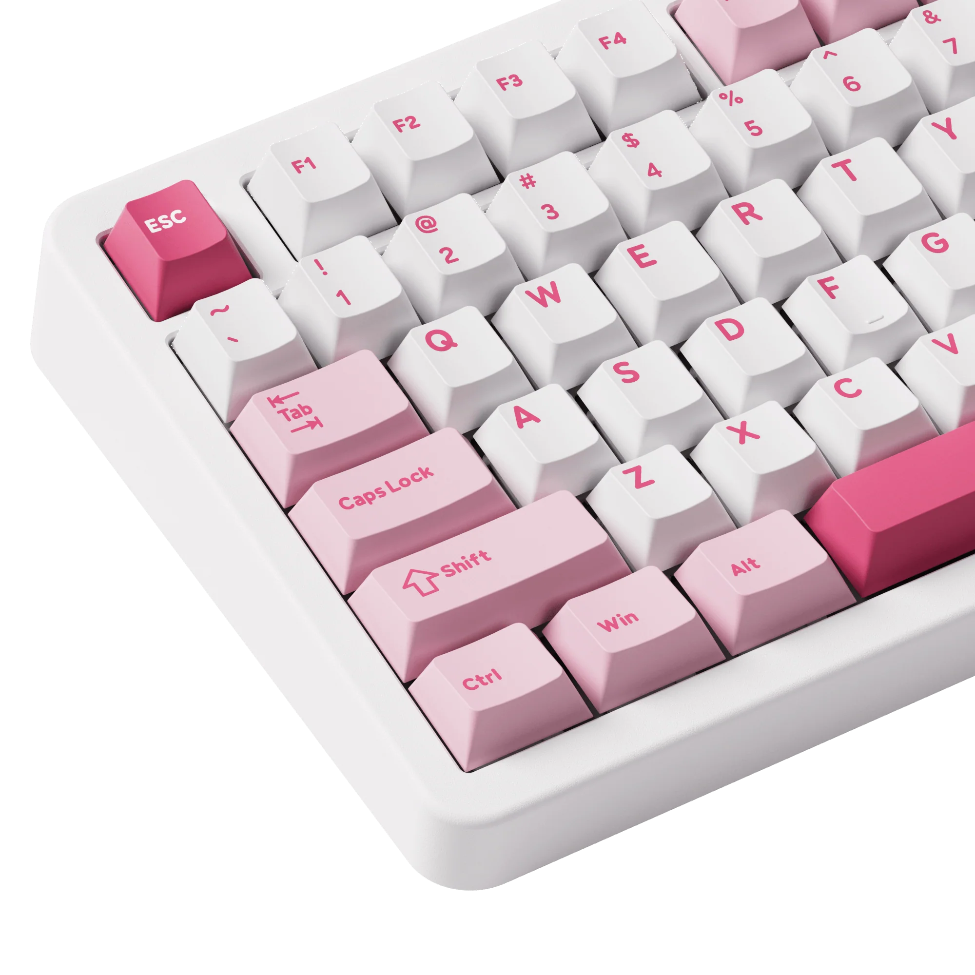 Prunus Lannesiana TAC87 Mechanical Keyboard - Image 5