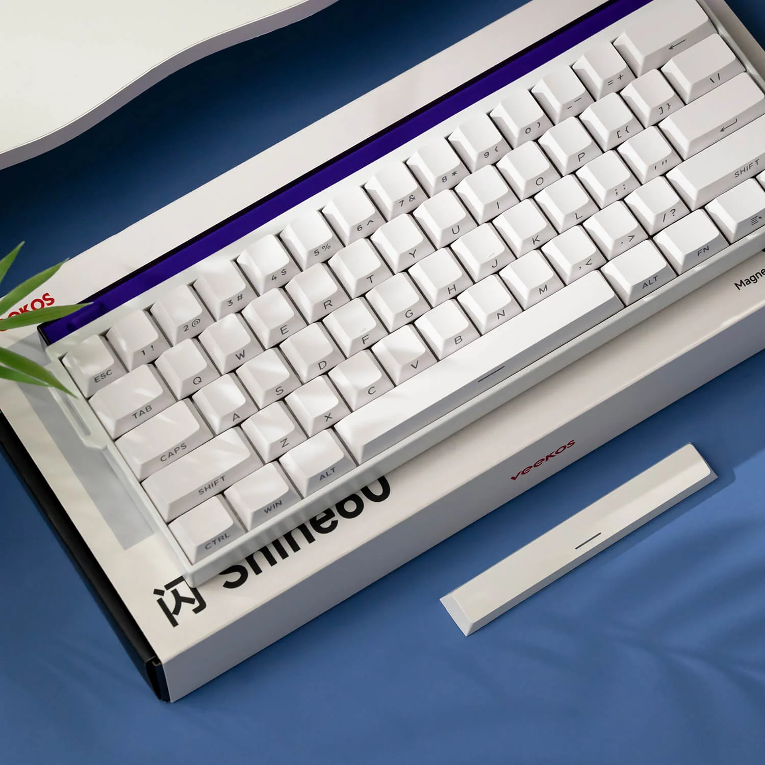 Shine60 HE Magnetic Keyboard - Image 13