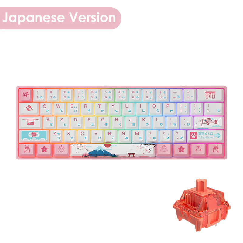 World Tour Tokyo 3061S RGB - Image 9